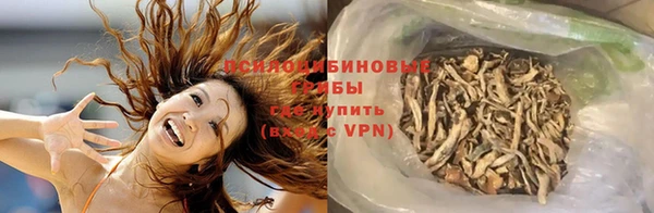 твердый Лабытнанги