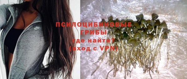 твердый Лабытнанги