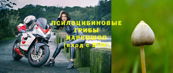 твердый Лабытнанги